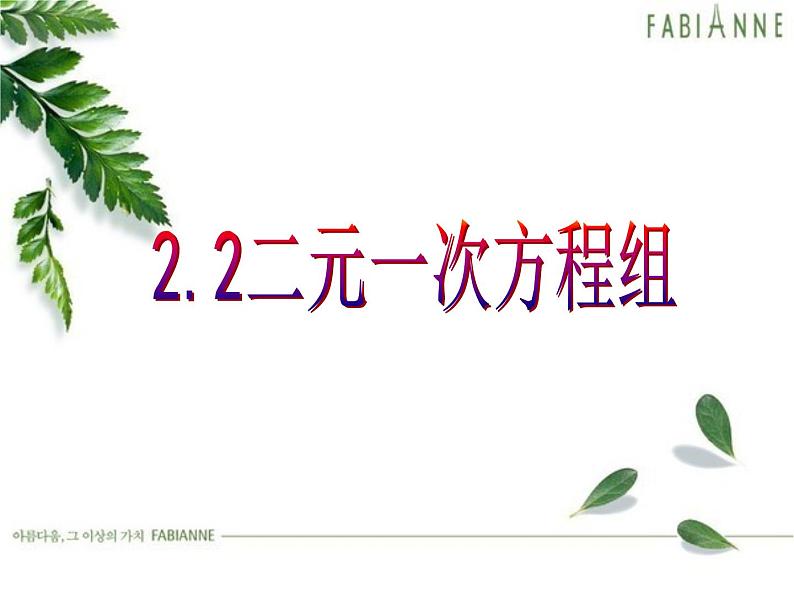 2.2二元一次方程组课件第1页