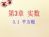 3.1平方根课件