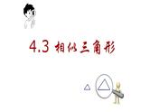 浙教版九年级上册 4.3 相似三角形 课件