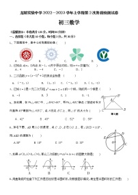 广东省汕头市龙湖区汕头市龙湖实验中学2022-2023学年九年级上学期11月期中数学试题(含答案)