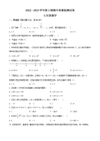 河南省信阳市罗山县2022-2023学年七年级上学期期中数学试题(含答案)