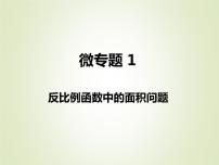 中考数学复习微专题1反比例函数中的面积问题精讲课件