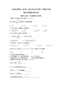 上海市奉贤区联考2022-2023学年八年级上学期期中考试 数学试卷(含答案)