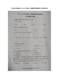 广东省湛江市徐闻县2022-2023学年七年级上学期期中教学调研测试数学试卷