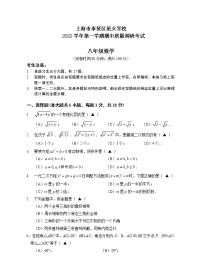 上海市奉贤区星火学校2022-2023学年八年级上学期数学期中阶段练习卷