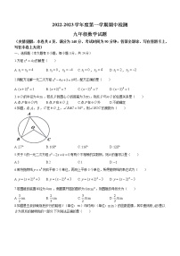 江苏省徐州市沛县2022-2023学年九年级上学期期中数学试题