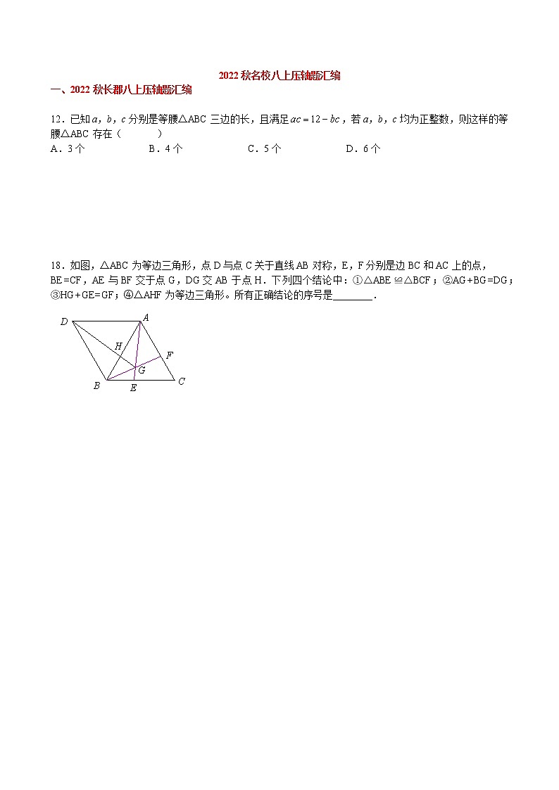 2022秋长沙四大名校集团八上数学期中考试压轴题汇编无答案01