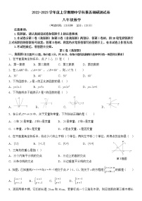 广西壮族自治区百色市靖西市2022-2023学年八年级上学期11月期中数学试题(含答案)