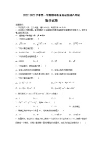 河南省洛阳市伊川县2022-2023学年上学期期中质量调研检测八年级数学试题(含答案)