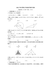 江苏省泰州市泰州中学附属初级中学2022-2023学年九年级上学期期中考试数学试卷 (含答案)