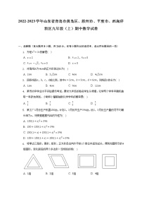 2022-2023学年山东省青岛市黄岛区、胶州市、平度市、西海岸新区九年级（上）期中数学试卷（含解析）