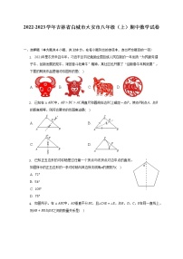 2022-2023学年吉林省白城市大安市八年级（上）期中数学试卷（含解析）