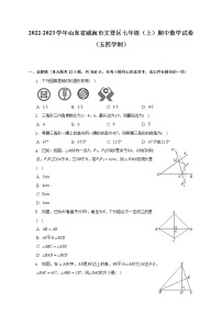 2022-2023学年山东省威海市文登区七年级（上）期中数学试卷（五四学制）（含解析）