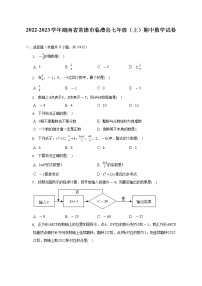 2022-2023学年湖南省常德市临澧县七年级（上）期中数学试卷（含解析）