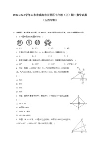 山东省威海市文登区2022-2023学年七年级上学期（五四学制）期中考试数学试卷(含答案)