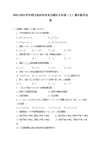 2022-2023学年四川省泸州市龙马潭区九年级（上）期中数学试卷（含解析）