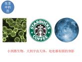 浙教版數(shù)學(xué)九年級(jí)上冊(cè)3.1.1圓課件