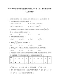 2022-2023学年山东省威海市文登区八年级（上）期中数学试卷（五四学制）（含解析）