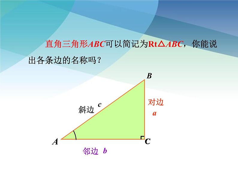 1.1 锐角三角函数 浙教版数学九年级下册课件203