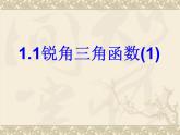 1.1 銳角三角函數(1) 浙教版數學九年級下冊課件