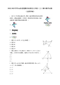 2022-2023学年山东省淄博市高青县七年级（上）期中数学试卷（五四学制）（含答案解析）