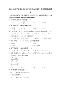 _福建省漳州市长泰县2022-2023学年九年级上学期期中数学试卷 (含答案)