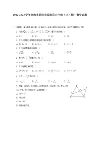 _湖南省岳阳市岳阳县2022-2023学年八年级上学期期中数学试卷(含答案)