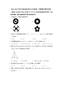 江西省南昌市2022-2023学年八年级上学期期中测试数学试卷(含答案)