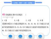 北师大版七年级数学上第四章基本平面图形4.1线段、射线、直线习题课件