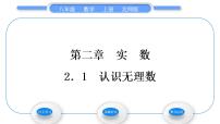 初中数学北师大版八年级上册第二章 实数1 认识无理数习题ppt课件