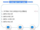 北师大版八年级数学上第二章实数2.1认识无理数习题课件