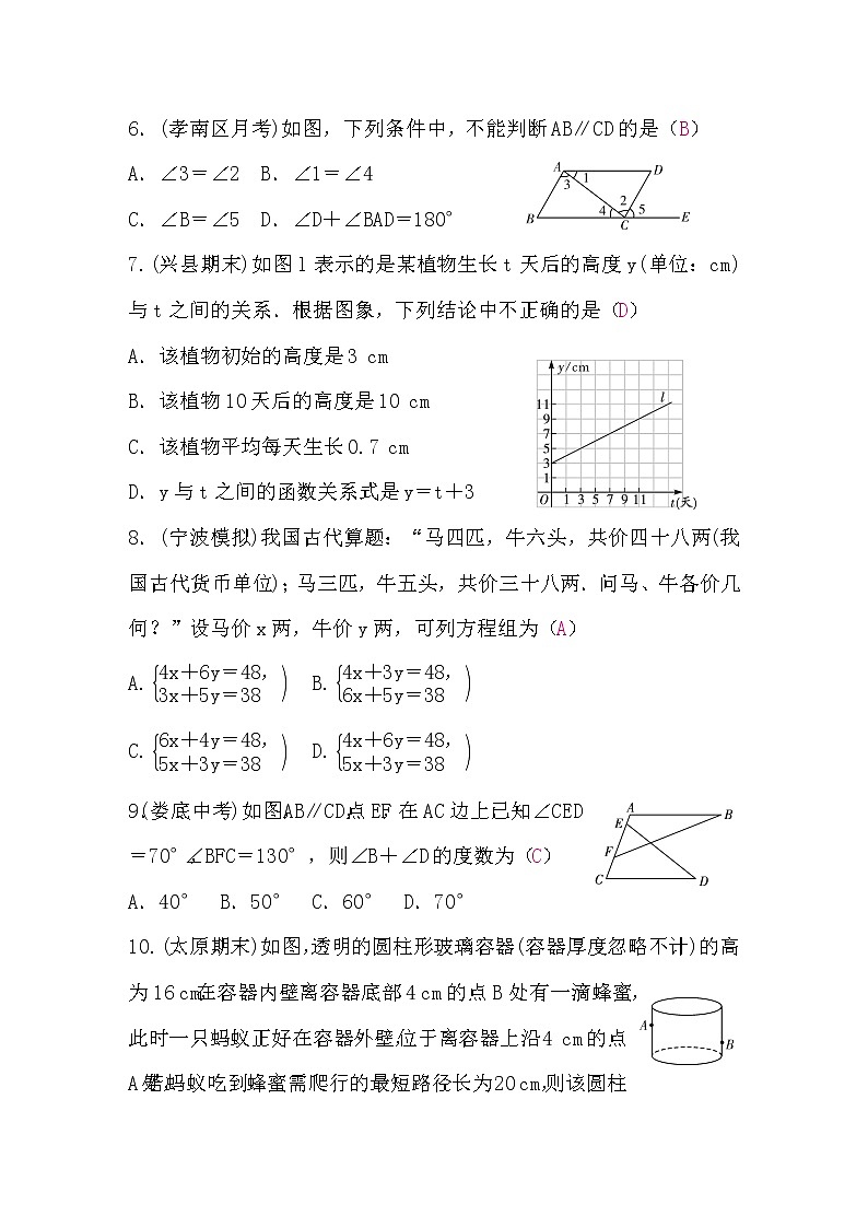 北师大版八年级数学上册期末检测题(word版，含答案)02