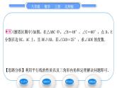 北师大版八年级数学上第七章平行线的证明7.5三角形内角和定理习题课件