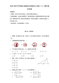 2022-2023学年浙江省温州市苍南县八年级（上）期中数学试卷（含解析）