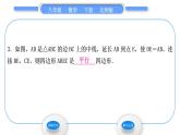 北师大版八年级数学下第六章平行四边形6.2平行四边形的判定第2课时利用四边形对角线的性质判定平行四边形习题课件