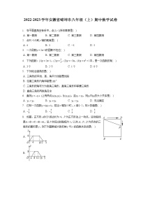 2022-2023学年安徽省蚌埠市八年级（上）期中数学试卷（含答案解析）