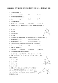 2022-2023学年福建省泉州市泉港区八年级（上）期中数学试卷（含答案解析）