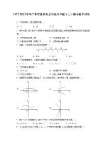 2022-2023学年广东省深圳市龙华区八年级（上）期中数学试卷（含答案解析）