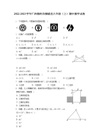 2022-2023学年广西柳州市柳城县八年级（上）期中数学试卷（含答案解析）