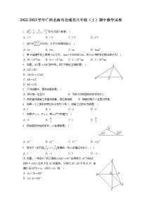 2022-2023学年广西北海市合浦县八年级（上）期中数学试卷（含答案解析）