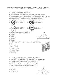 2022-2023学年湖南省长沙市浏阳市八年级（上）期中数学试卷（含答案解析）