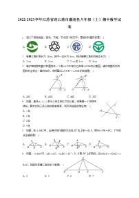 2022-2023学年江苏省连云港市灌南县八年级（上）期中数学试卷（含答案解析）