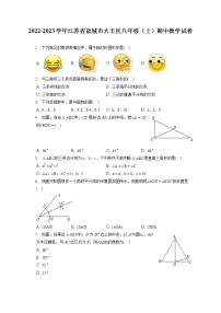 2022-2023学年江苏省盐城市大丰区八年级（上）期中数学试卷（含答案解析）