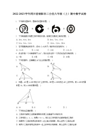 2022-2023学年四川省绵阳市三台县八年级（上）期中数学试卷（含答案解析）