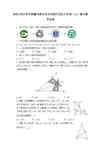 2022-2023学年新疆乌鲁木齐市沙依巴克区八年级（上）期中数学试卷（含答案解析）