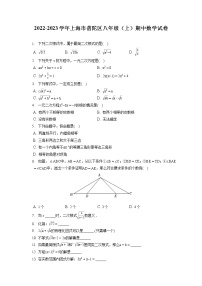 2022-2023学年上海市普陀区八年级（上）期中数学试卷（含答案解析）