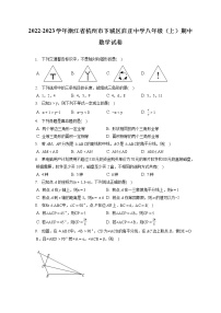 2022-2023学年浙江省杭州市下城区启正中学八年级（上）期中数学试卷（含答案解析）