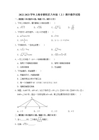 上海市普陀区2022-2023学年八年级上学期期中考试数学试卷(含答案)