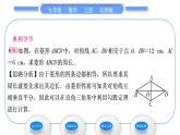 北师大版九年级数学上第一章特殊平行四边形1.1菱形的性质与判定第1课时菱形的性质习题课件