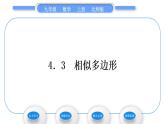北師大版九年級(jí)數(shù)學(xué)上第四章圖形的相似4.3相似多邊形習(xí)題課件